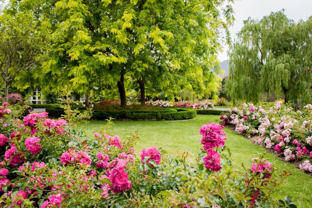 Lakeside Cottage Luxury B&B Mount Dandenong Kültér fotó