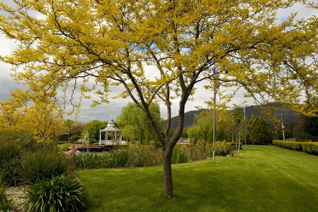 Lakeside Cottage Luxury B&B Mount Dandenong Kültér fotó